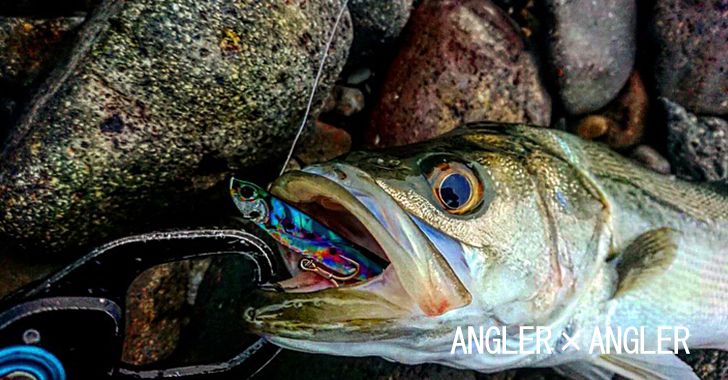 Angler Angler シーバス チヌ キビレ マゴチ メバル アジ 太刀魚 ヒラメ 青物 基本ルアー で何でも釣ります Angler Anglerチーム 釣り部 の釣りブログ