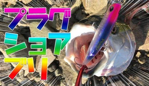 真鯛 ショアレッド 狙いがプラグでまさかのショアブリ爆発 Angler Angler