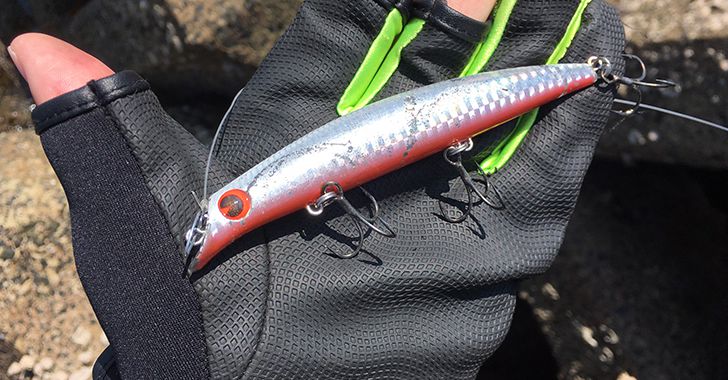 間違いだらけのシーバスフィッシング まだ釣れてない人のためにシーバスの釣り方 コツ ルアーを伝授します Angler Angler