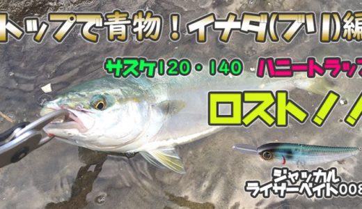 Angler Angler シーバス チヌ キビレ マゴチ メバル アジ 太刀魚 ヒラメ 青物 基本ルアー で何でも釣ります Angler Anglerチーム 釣り部 の釣りブログ